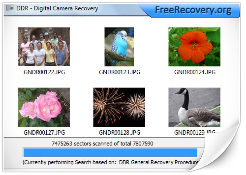 Digital camera data recovery software