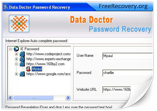 Internet explorer password recovery software
