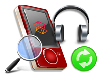 DDR Professional Data Recovery